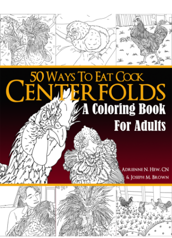 Centerfolds Book Cover